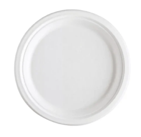 RBT Exports 10” Biodegradable Round Plate (500/Case)