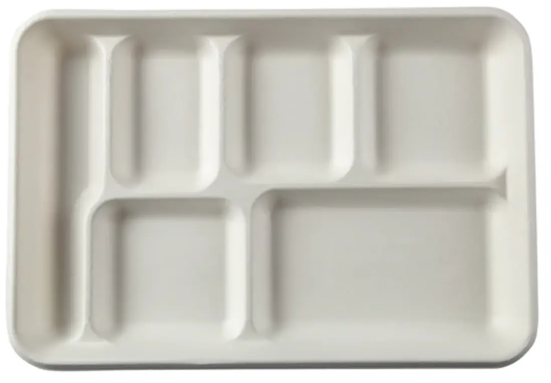 RBT Exports 6 Compartment Biodegradable Deep Meal Tray [300 Pack]
