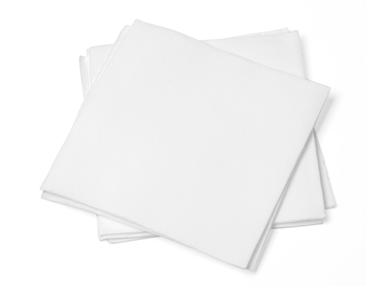 RBT Exports 2 Ply Lunch Napkin (3000/Case)