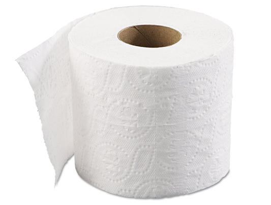 2 Ply Toilet Rolls (96/Case)